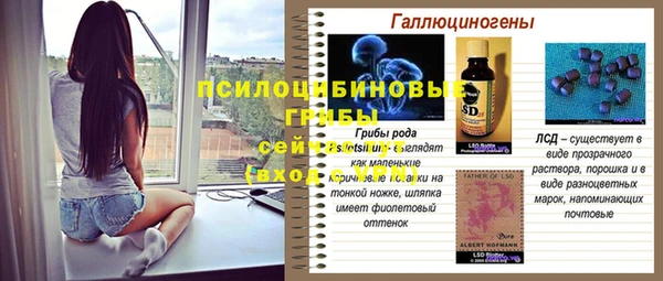 гашиш Новодвинск