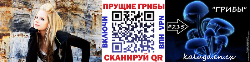 хочу   Порхов  Галлюциногенные грибы ЛСД 